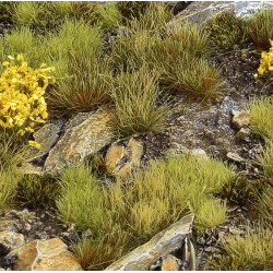 Arbustos de grama. Conjunto de eclusas Highland.