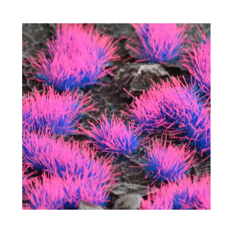 Matas de hierba. Neón extraterrestre (4 mm).