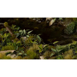 Plantas a laser. Senhoras e Senhores Deputados.