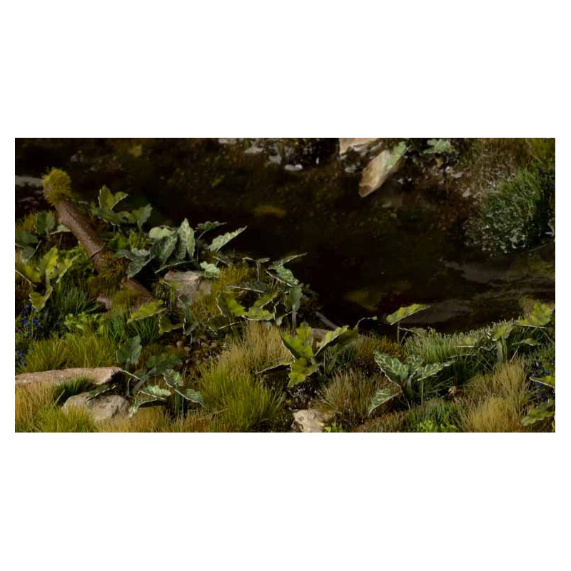 Plantas láser. Damas y caballeros.