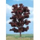 Red beech. BUSCH 6968