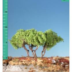 Plantas arbustivas.