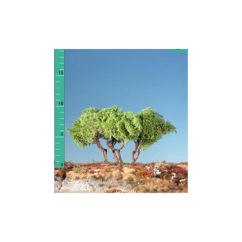 High shrubs. SILHOUETTE 250-11