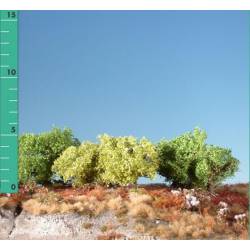 Plantas arbustivas.