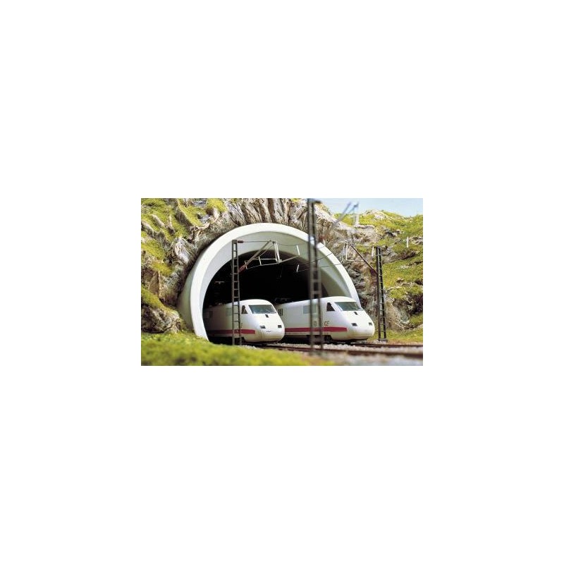 Boca de túnel de doble vía. BUSCH 8195