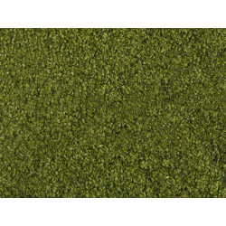 Wild grass foliage, medium green.