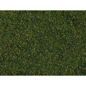 Wild grass foliage, dark green.