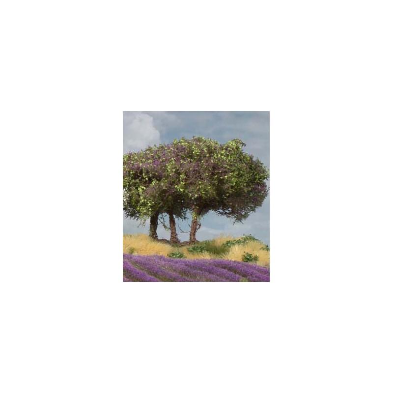 Plantas arbustivas. SILHOUETTE 250-15