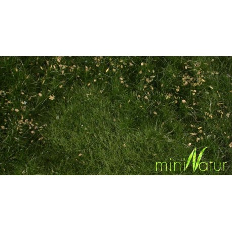 Fertile plain meadow. SILHOUETTE 734-22S