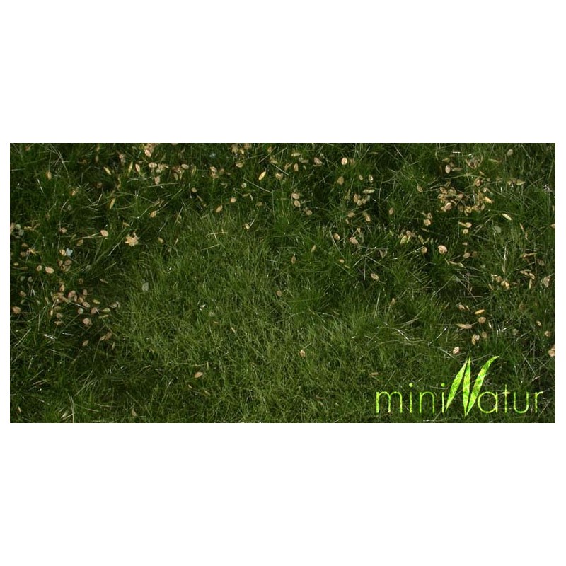 Fertile plain meadow. SILHOUETTE 734-22S