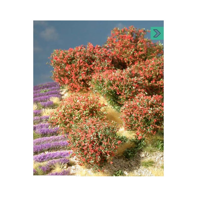 Planta arbustiva en tonos rojizos. SILHOUETTE 253-04