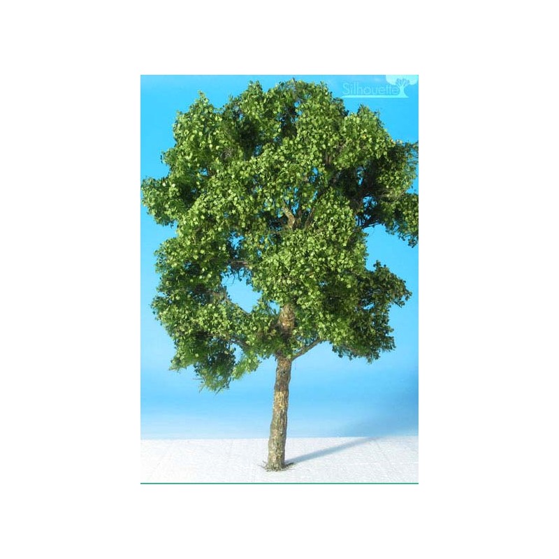 Plane tree. SILHOUETTE 233-12