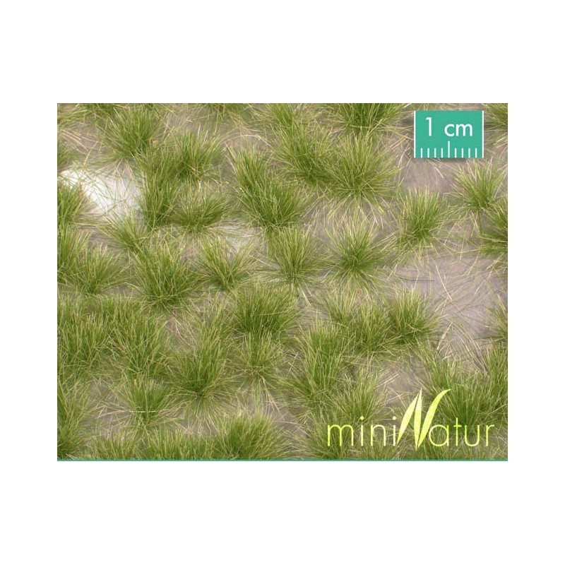 Mechones de césped, principios de otoño. SILHOUETTE 727-33S