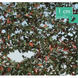 Hojas de roble.