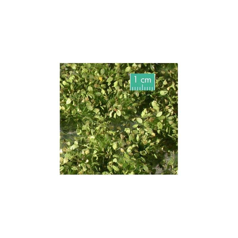 Matas de maleza. SILHOUETTE 725-31S