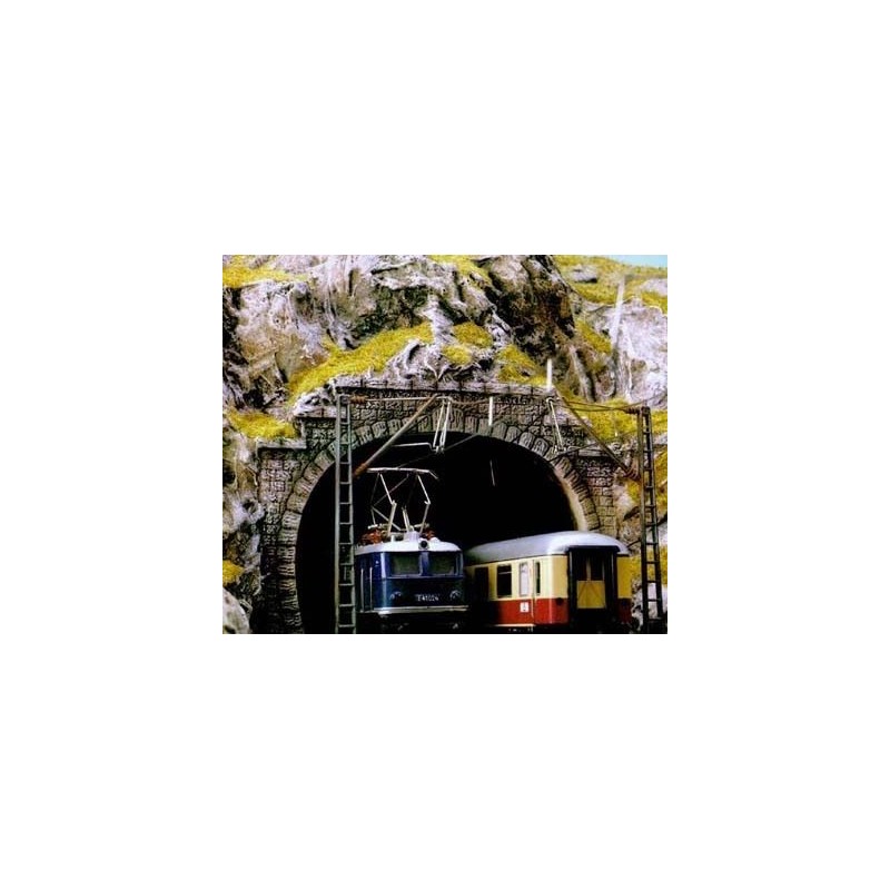 Dos bocas de túnel de doble vía. BUSCH 8192