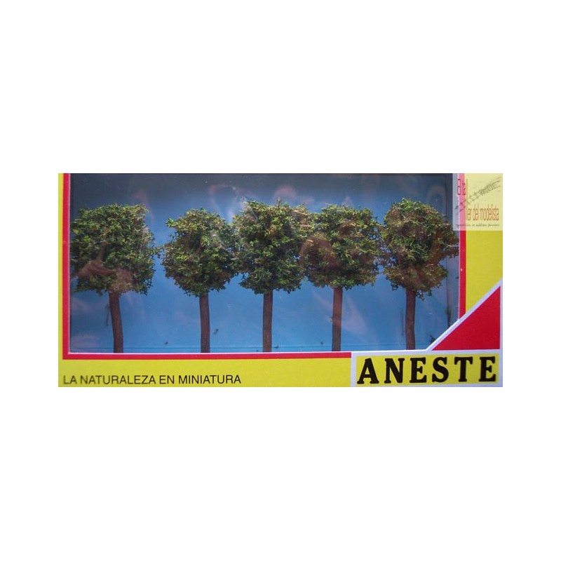 Cinco acacias de 50 mm. ANESTE 558