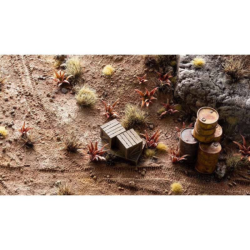 Plantas láser. Aloe rojo.