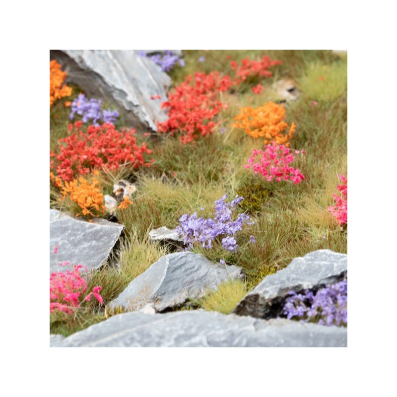 Garden flowers set wild.