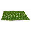 Light green tufts 2 mm.