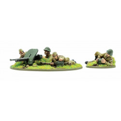 Squadra HMG dell'esercito sovietico. Bolt Action.