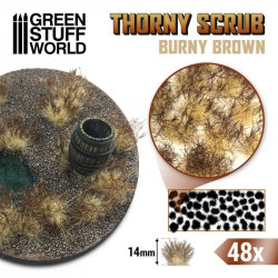 Thorny Scrubs, burny brown.