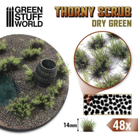 Thorny Scrubs, dry green.