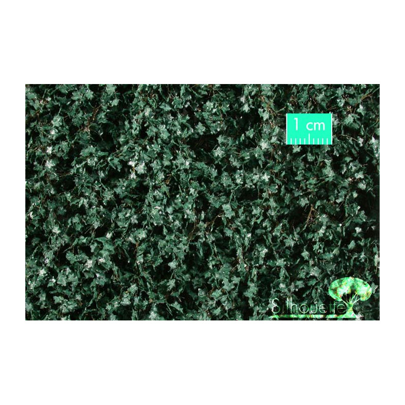 Ivy.