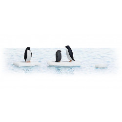 Pinguine auf Eis.