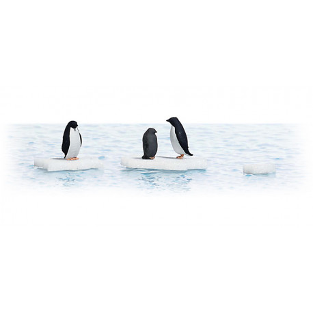 Penguins on ice floes.