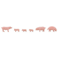 Porcins.