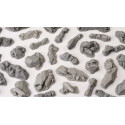 Fragmentos de rocas.