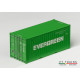 Container 20'DV 'EVERGREEN'.