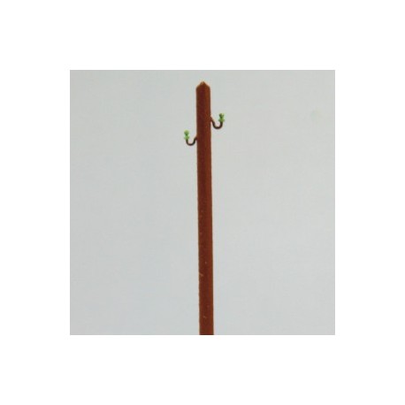 Electric wood pole. RB 2663