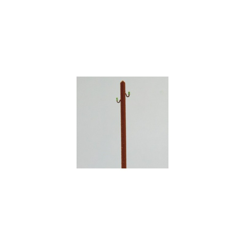 Electric wood pole.