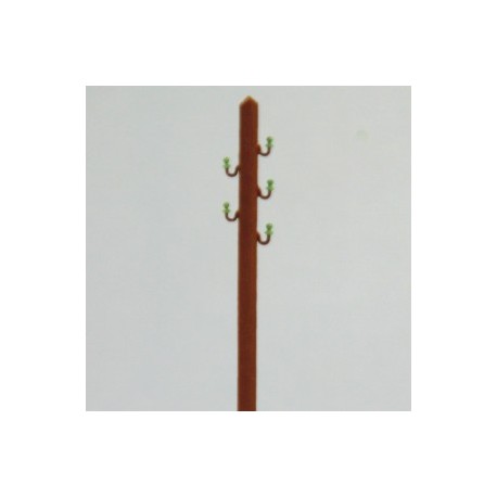 Electric wood pole. RB 2671