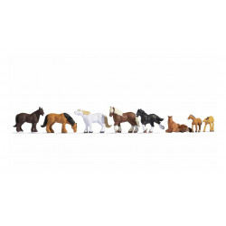 Cavalos de tração.