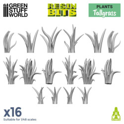 Ensemble de hautes herbes.
