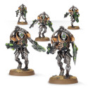 Petorianos de la Triarca.