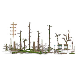 Set forestale.