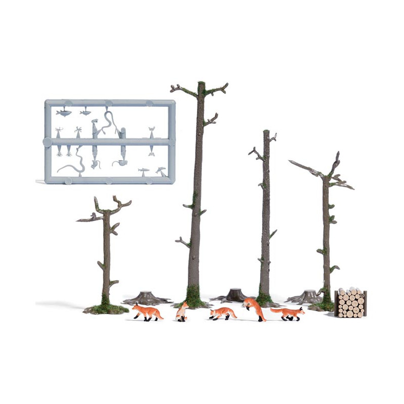 Zorros en el bosque.