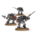 Grey Knights Terminator Squad.