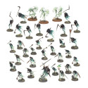 Vanguardia: Noctánimas (NIGHTHAUNT).