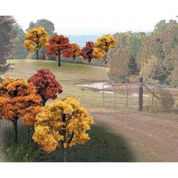 Fall colours trees.