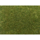 Wild Grass XL, medium green.