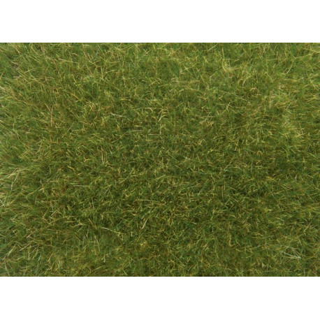 Wild Grass XL, medium green.