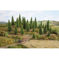Künstliche Rottannen, 25 Bäume.