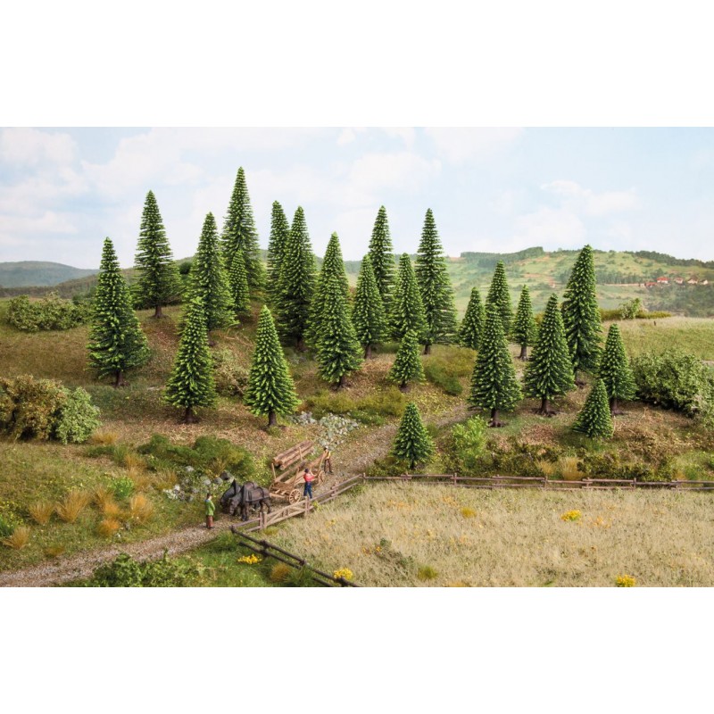 Model spruce trees. Model spruce trees.