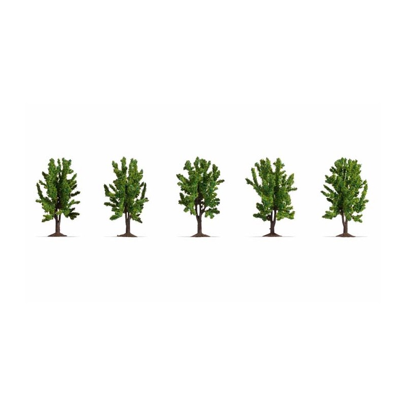 Deciduous Trees. Deciduous Trees.