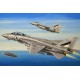 F-14D Super Tomcat. HOBBY BOSS 80278